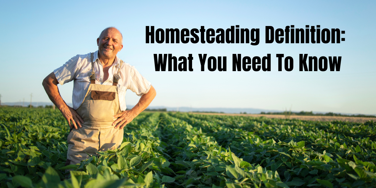 define homesteading